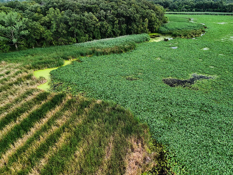Prairie Patchwork: A Drone View of Orland Grove Nature Preserve