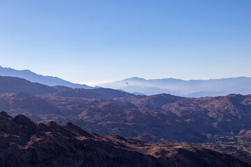 A lonely Hawk Soars over the mountainous desert in Indio California mid day. High quality photo