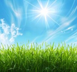 Fototapeta premium Sunny Spring Meadow with Blue Sky