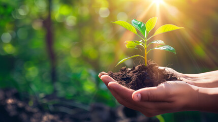 Hands carefully holding a small plant with soil, on a blurred green background.