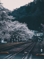 railway in the mountains