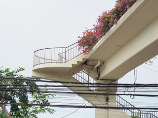 staircase with flowers