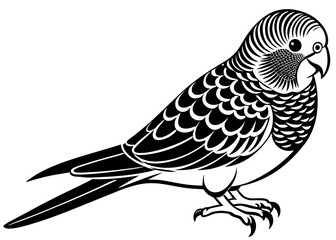 Budgerigar silhouette vector illustration 