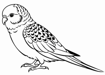 Obraz premium Line art of Budgerigar vector 