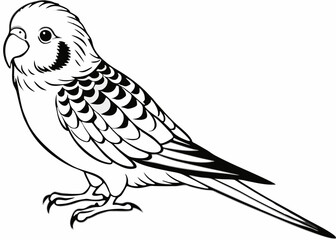 Budgerigar silhouette vector illustration 