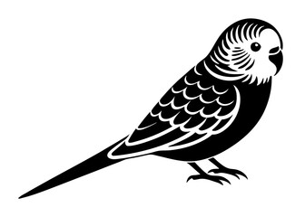 Budgerigar silhouette vector illustration 