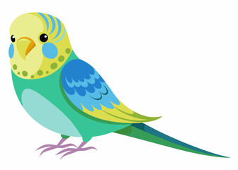 Budgerigar colorful vector illustration 