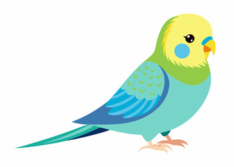 Budgerigar colorful vector illustration 