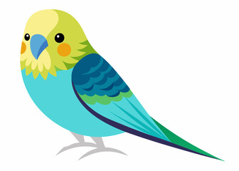 Budgerigar colorful vector illustration 
