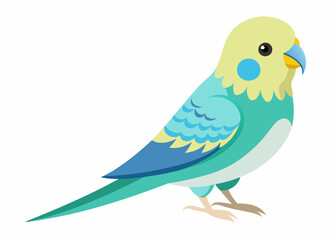 Budgerigar colorful vector illustration 