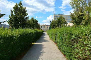 Walkway between hedges and buildings in the background