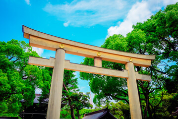 【東京】明治神宮