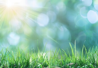 Obraz premium Spring Green Grass with Sun Rays Background