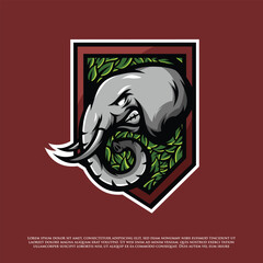 Elephant head and leaves vector image