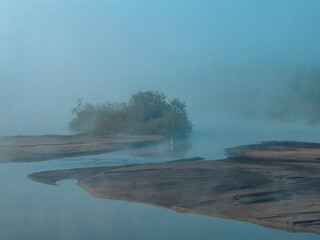 Wetland in Fog