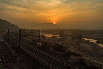 Sunrise at Swamp