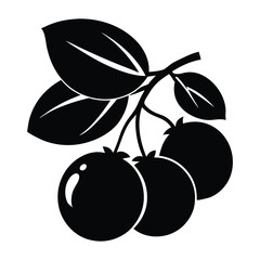 jaboticaba fruit silhouette vector design