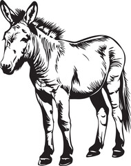 horse illustration