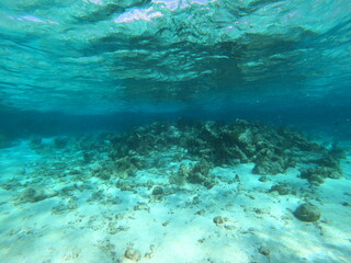 Ocean