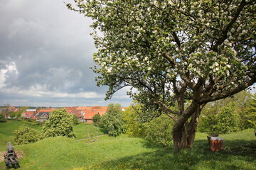 Fredericia Denmark 20 05 2023 . Fredericia
 city ​​and port on the shore of the Little Belt Strait.