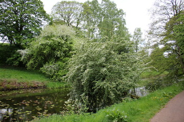Fredericia Denmark 20 05 2023 . Fredericia
 city ​​and port on the shore of the Little Belt Strait.