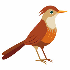 Cartoon Bird Vector Art Illustration