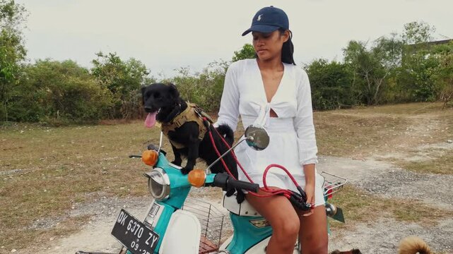Close-up handheld shot of an Asian model in a white dress petting a cute black dog while sitting on a classic Honda C70 motorcycle. Ideal for lifestyle content or travel videos with dogs and bikes.