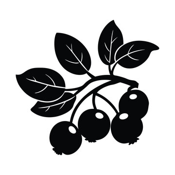 huckleberry fruit silhouette vector design
