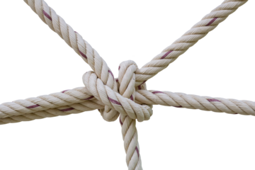 The Manila rope or Sisal rope stretched tied into a knot isolated on white background included clipping path.