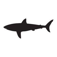 A large and dangerous shark. Vector image.