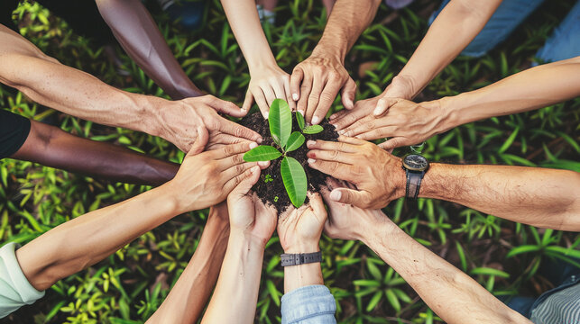 Corporate social responsibility (CSR) initiatives demonstrate a companys commitment to ethical practices and community involvement. By supporting environmental sustainability and social causes