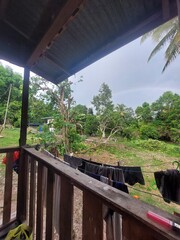 Fototapeta premium bridge in the jungle