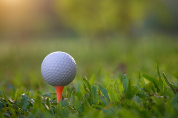 golf ball on tee in a beautiful golf course with morning sunshine