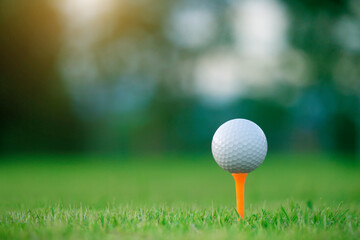 golf ball on tee in a beautiful golf course with morning sunshine