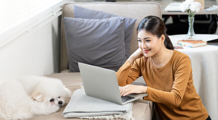 young pleased happy cheerful cute beautiful business woman sit indoors in office using laptop...