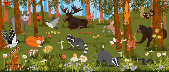 vector drawing landscape with summer forest, trees, wild animals and birds, insects and plants, wimmelbook, page of hidden picture book, natural background, hand drawn illustration © cat_arch_angel