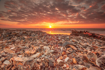 sunset over the sea with shell filled foreground