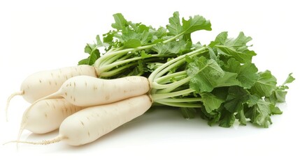 Daikon radishes isolated on white background