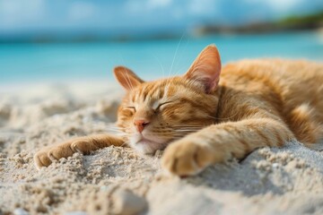 Ginger cat enjoying a nap on the warm sand of a sunny beach