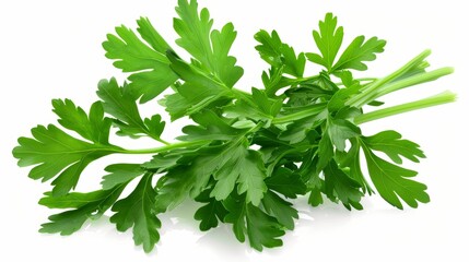 Parsley isolated on white