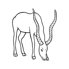 antelope outline vector illustration