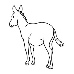 donkey outline vector illustration