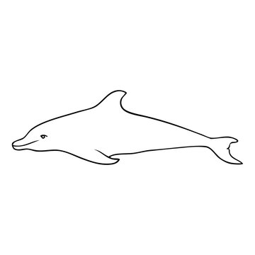 Dolphin clip art preview