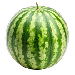 One watermelon isolated on transparent background