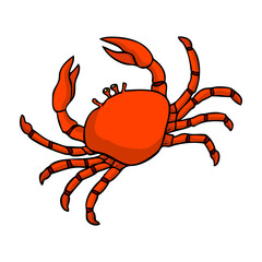 crab vector illustration