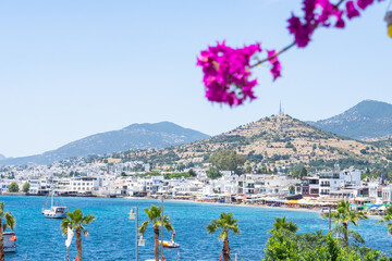Bodrum City and Coast in the Summer Season Drone Photo, Bodrum Mugla, Turkiye (Turkey)