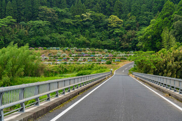 仮屋橋あじさい園の風景（鹿屋市）