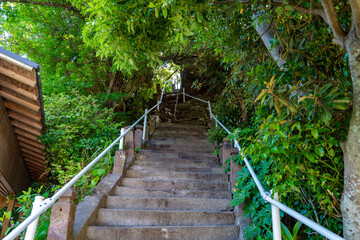 Obraz premium 菅原神社（荒平天神）の参道の風景