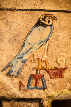 Ancient Egyptian hieroglyph of an falcon-Horus drawn in colour with a lot of details, Saqqara mastaba of Irukaptah and Neferherenptah