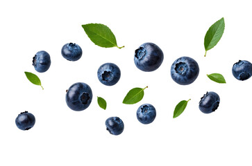 Flying swirl wave of Blueberries with green leaves in the air isolated on background, popular season berries fruit.